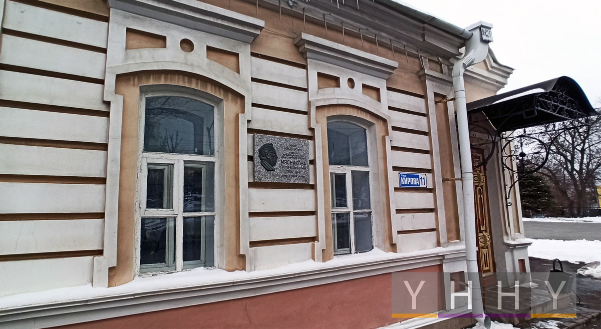 Флаг Музей одной картины имени Мясникова в Пензе