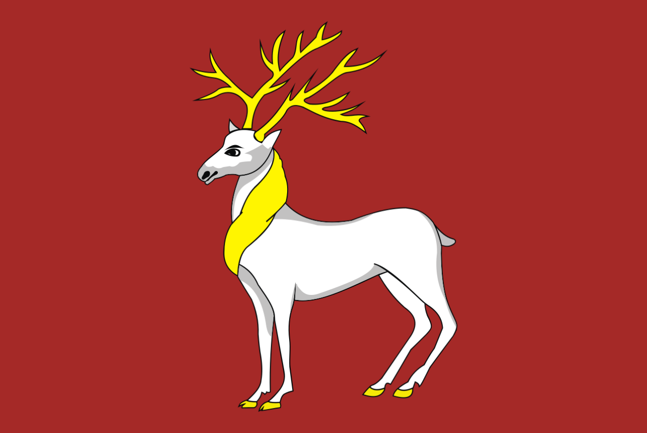 Флаг Ростов