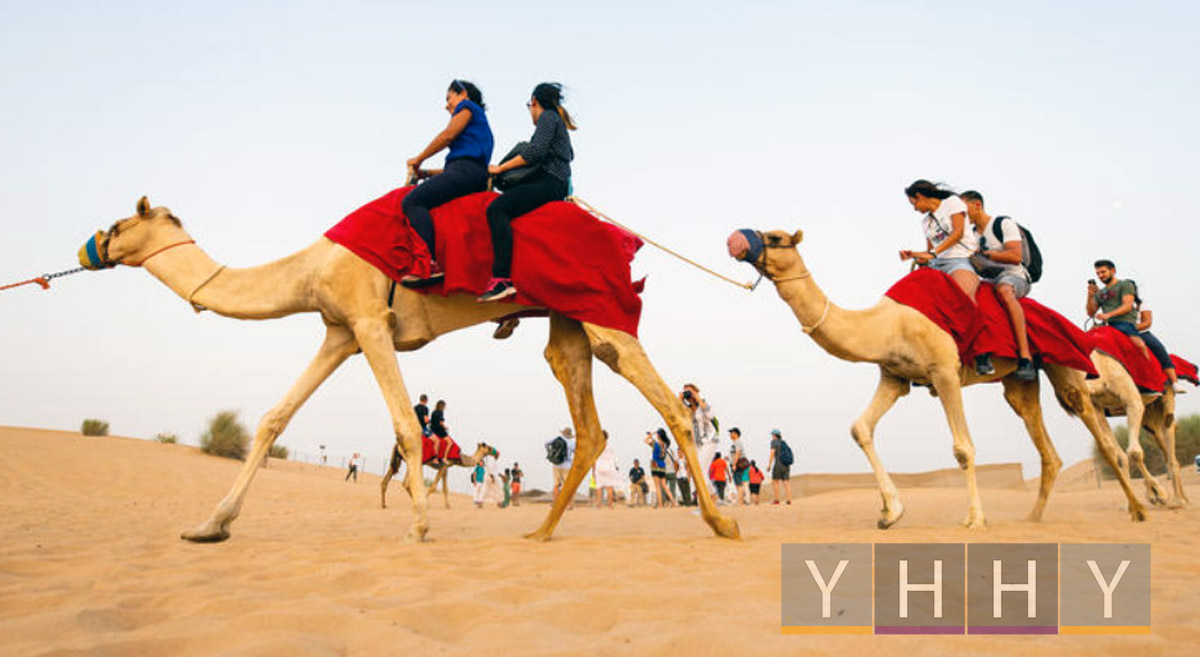 Экскурсии по пустыне из Абу-Даби