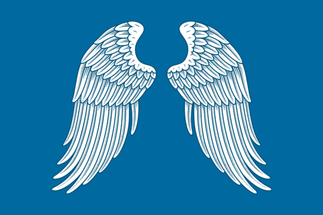 Флаг Михайлов, Рязанская область