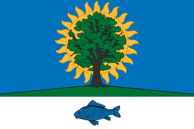 Флаг Новомичуринск, Рязанская область