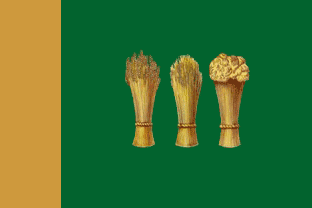 Флаг города Пенза