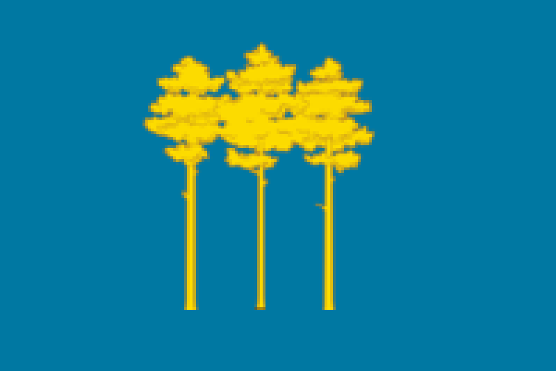 Флаг Димитровград