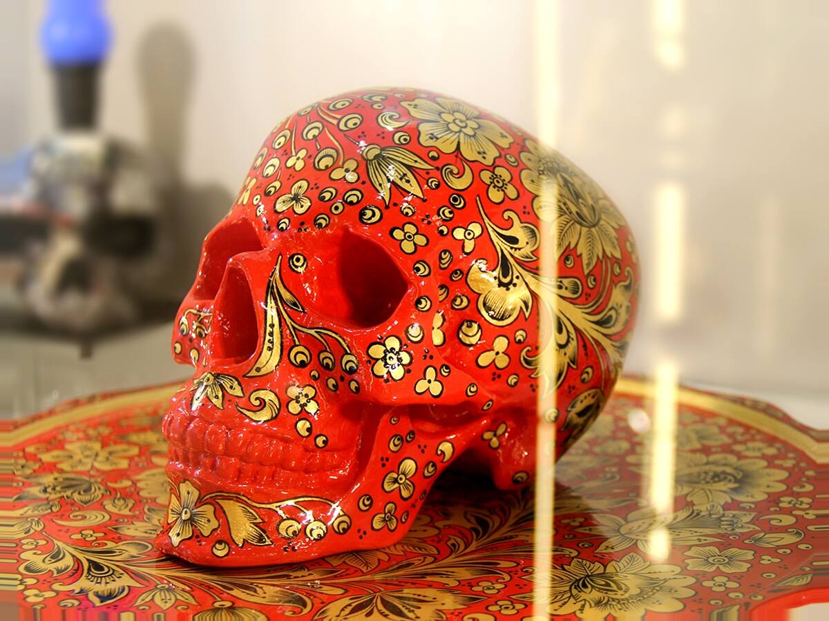 Афиша Музей черепов и скелетов